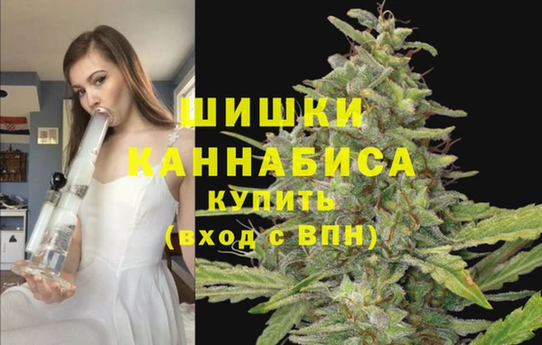 mdpv Барнаул