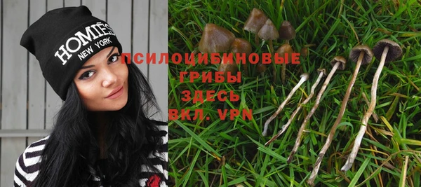 a pvp Краснотурьинск
