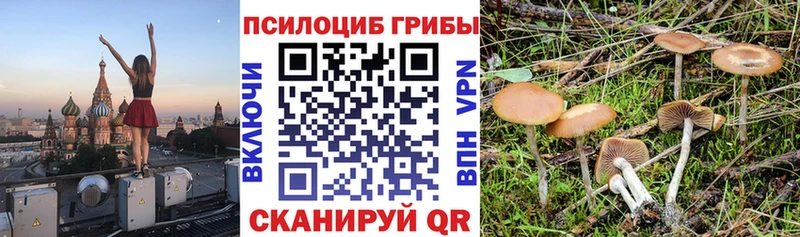 купить наркотик  Струнино  Псилоцибиновые грибы мицелий 